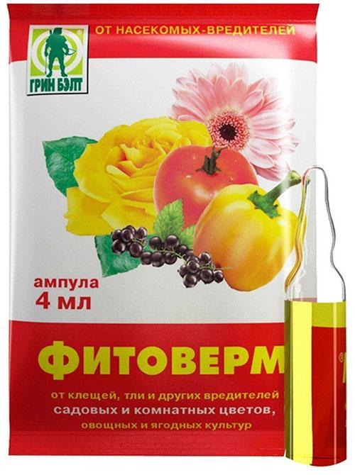 phytoverm en ampoule