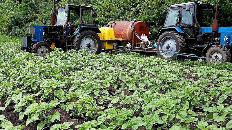 notice d'utilisation du fongicide thanos sur tournesol