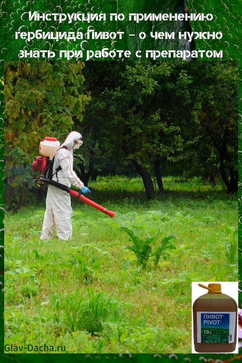 instrucciones de uso del herbicida Pivot