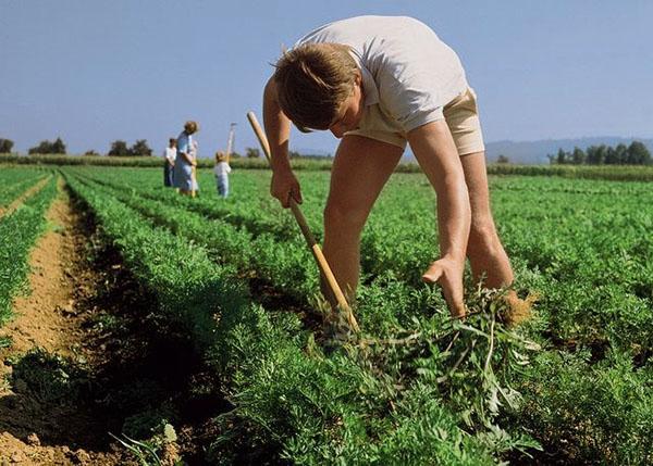 application sur le terrain