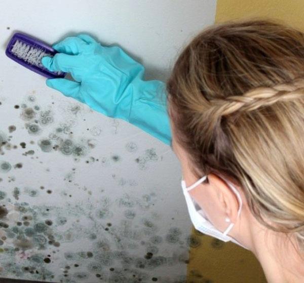 sulfato de cobre contra hongos en la pared