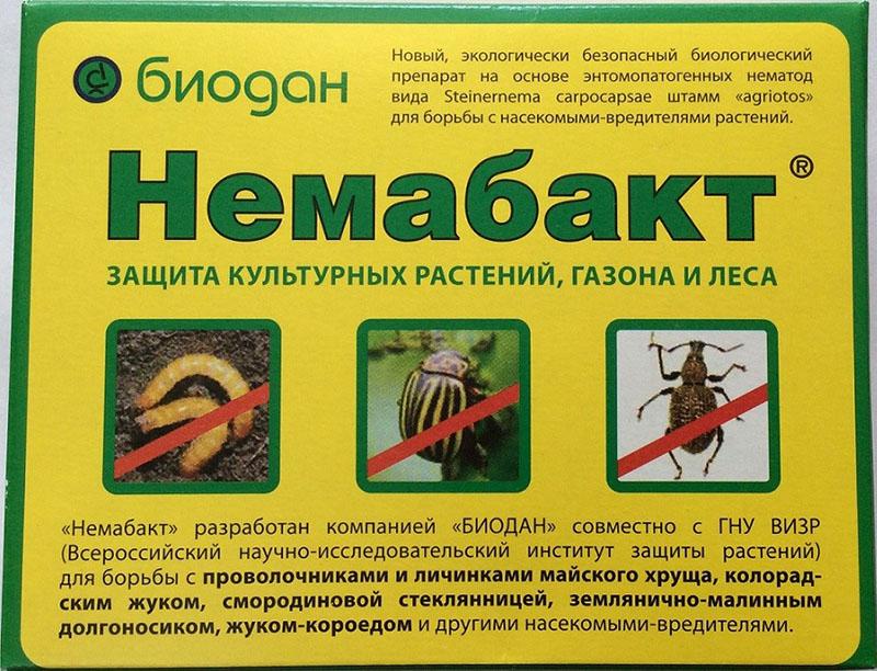 instrucciones de uso de nemabact para la protección de plantas cultivadas