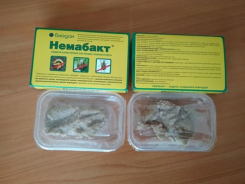 producto biológico