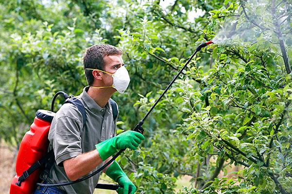 précautions de sécurité lorsque vous travaillez avec oxychom