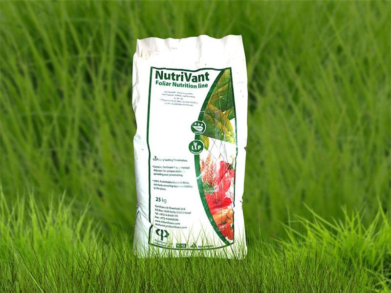 analogique nutritionnel
