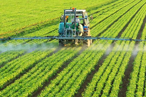 tratamiento de campo con insecticida boreas