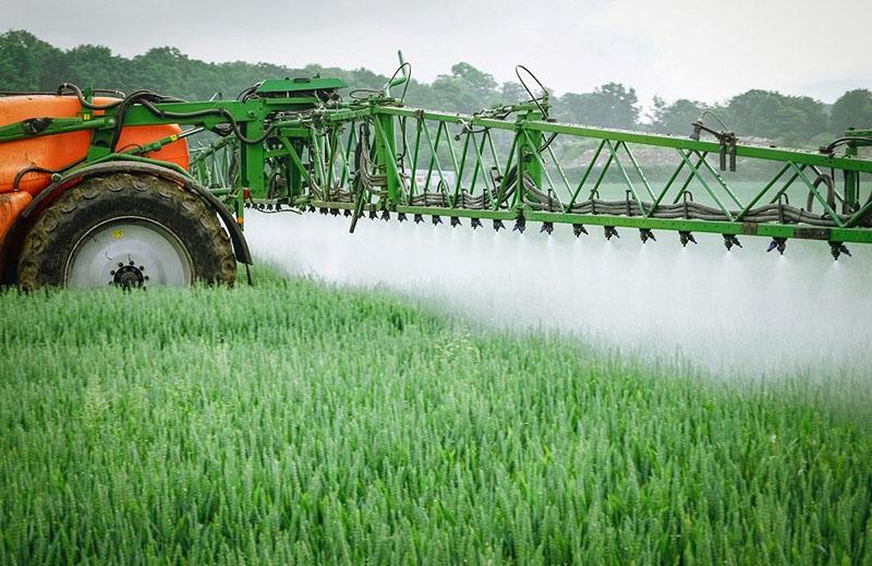 tratamiento de campo con Mospilan