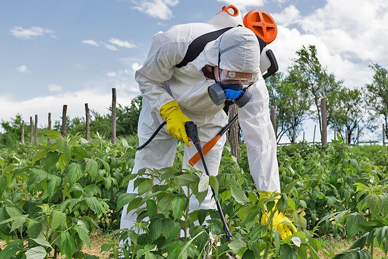 tiempo de tratamiento de plantas con tanrek