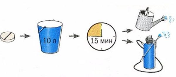 proceso de preparación de la solución de trabajo