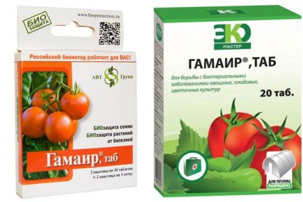 hamair contra las enfermedades del tomate