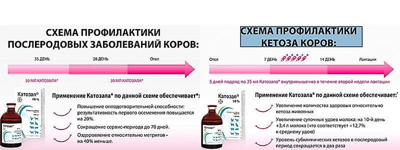 esquema de prevención de vacas