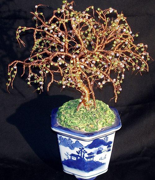 décoration et fixation de bonsaï