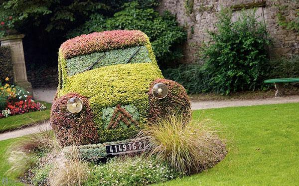 Voiture de parterre de fleurs