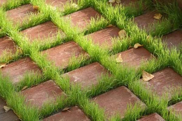 dalles de pavage avec des trous d'herbe