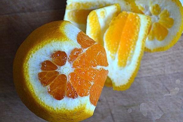 pelar una naranja