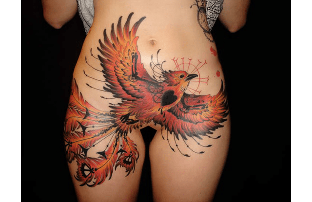 Foto přes pinterest Phoenix vycházející z ...