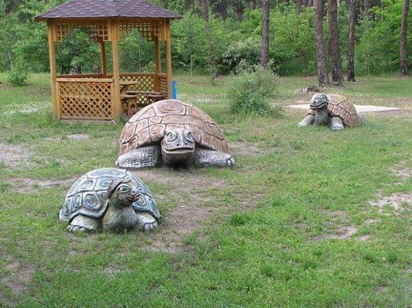 Tortues de béton