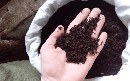 vermicompost