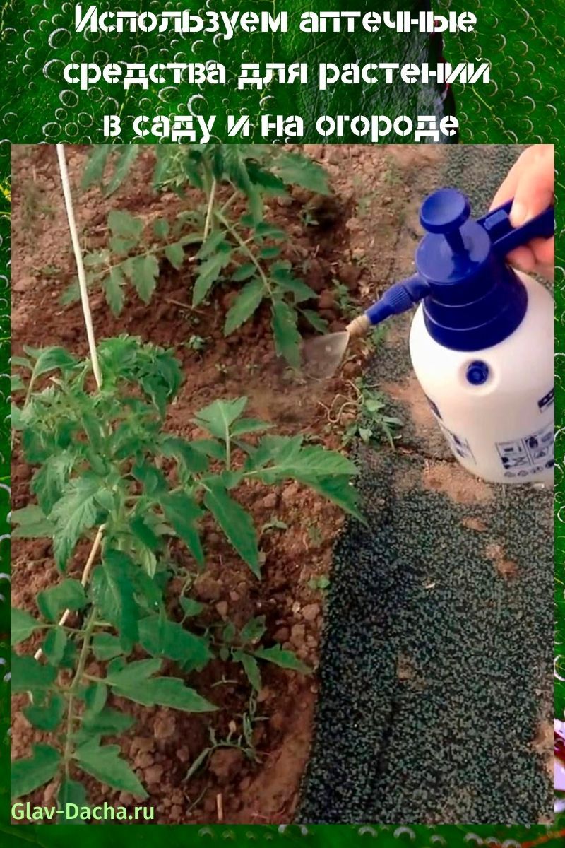 utilizamos productos farmacéuticos para plantas
