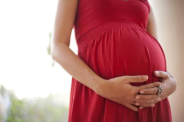 las mujeres embarazadas no deben comer castaño de indias