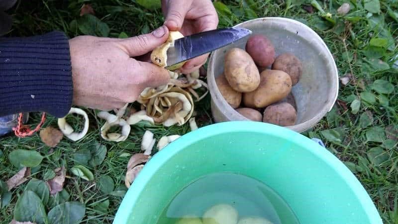 recueillir le nettoyage pour le jardin