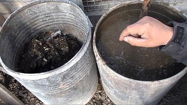 preparación de fertilizante líquido