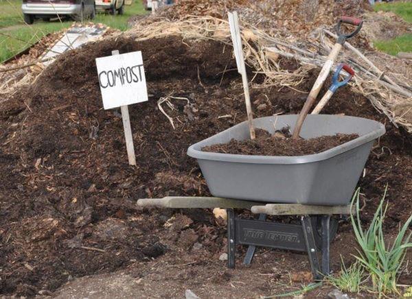 compost