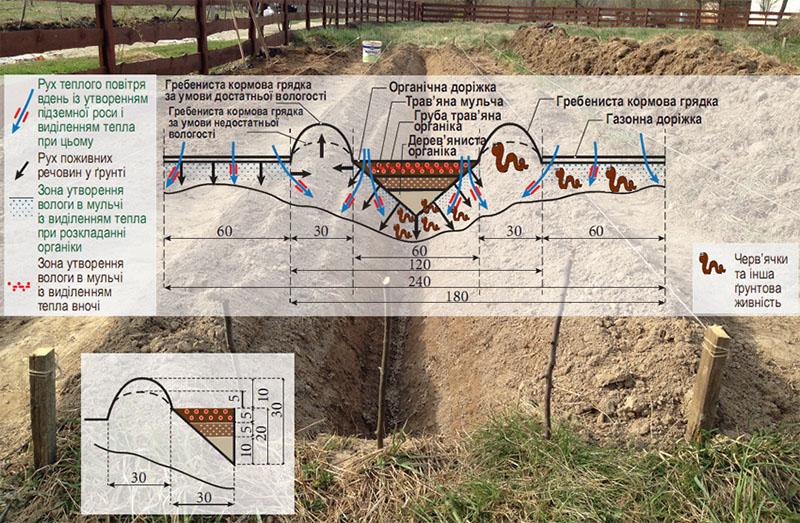 Comment fonctionnent les lits de Rozum