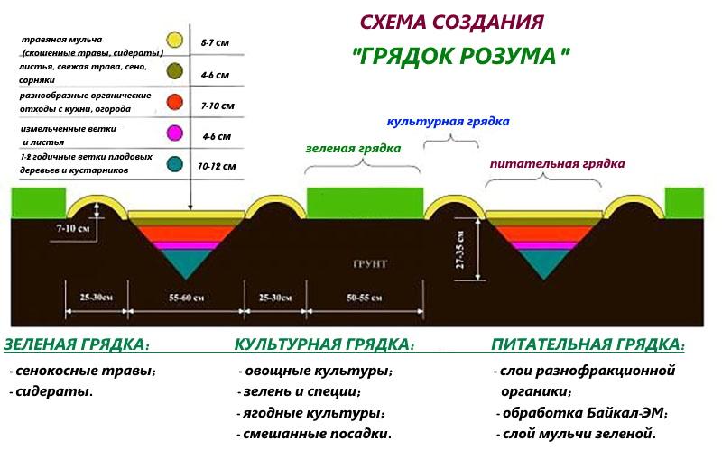 el esquema de las camas de Rozum