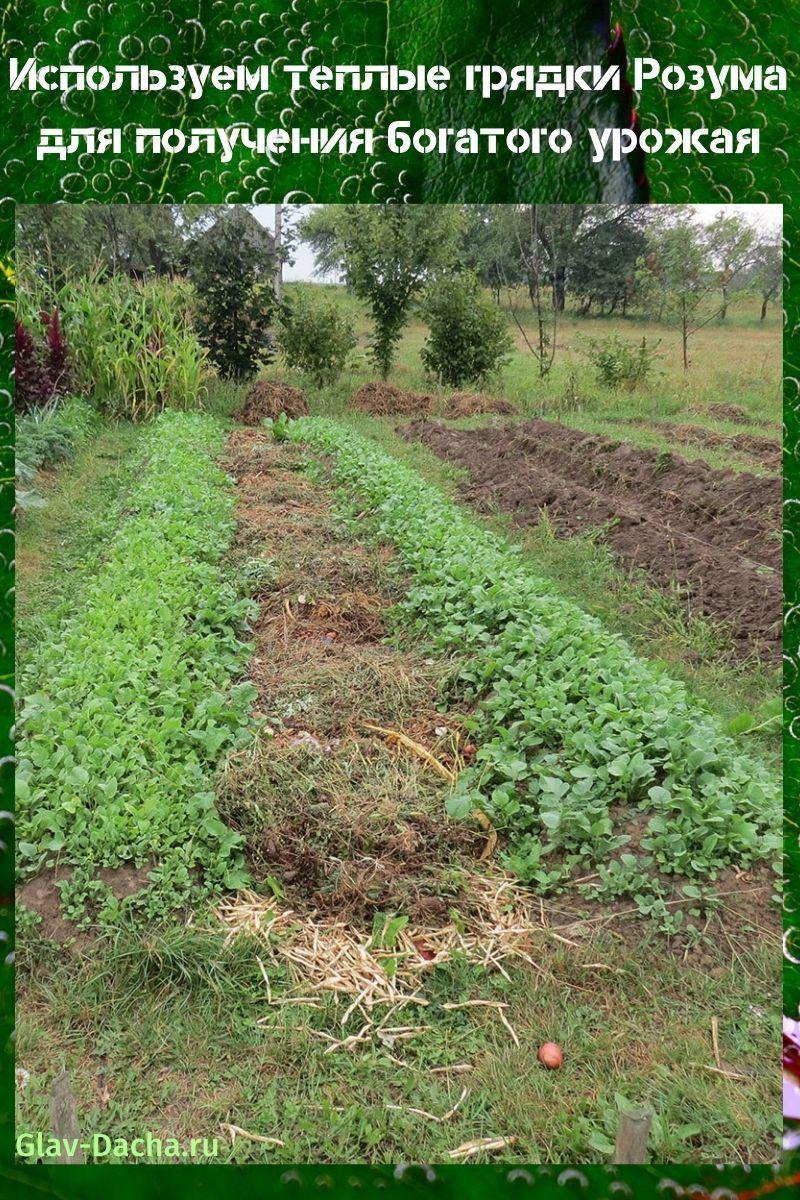 lits chauds de Rosum