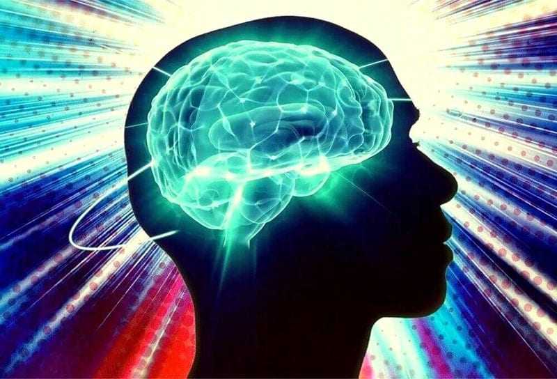 la thiamine active le cerveau