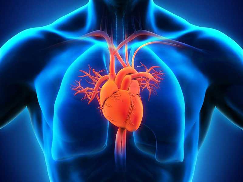 pourquoi les pistaches sont bonnes pour le coeur