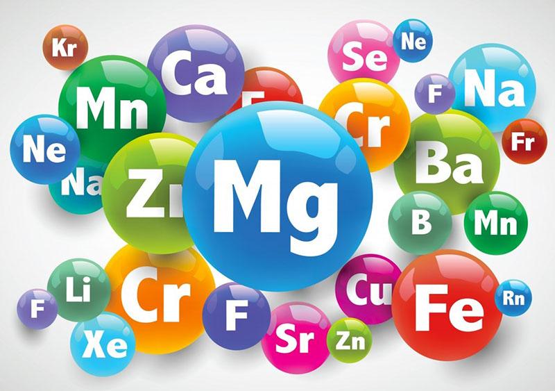 composición química del carnicero