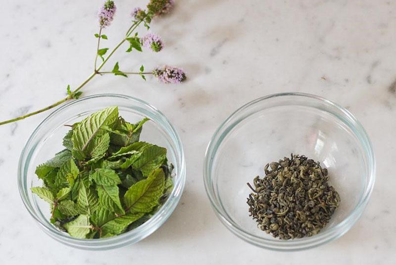 menthe en médecine populaire