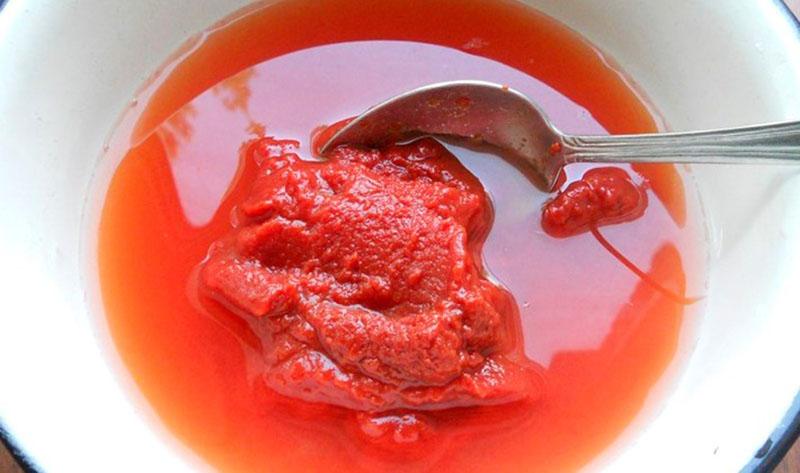 diluir la pasta de tomate con caldo