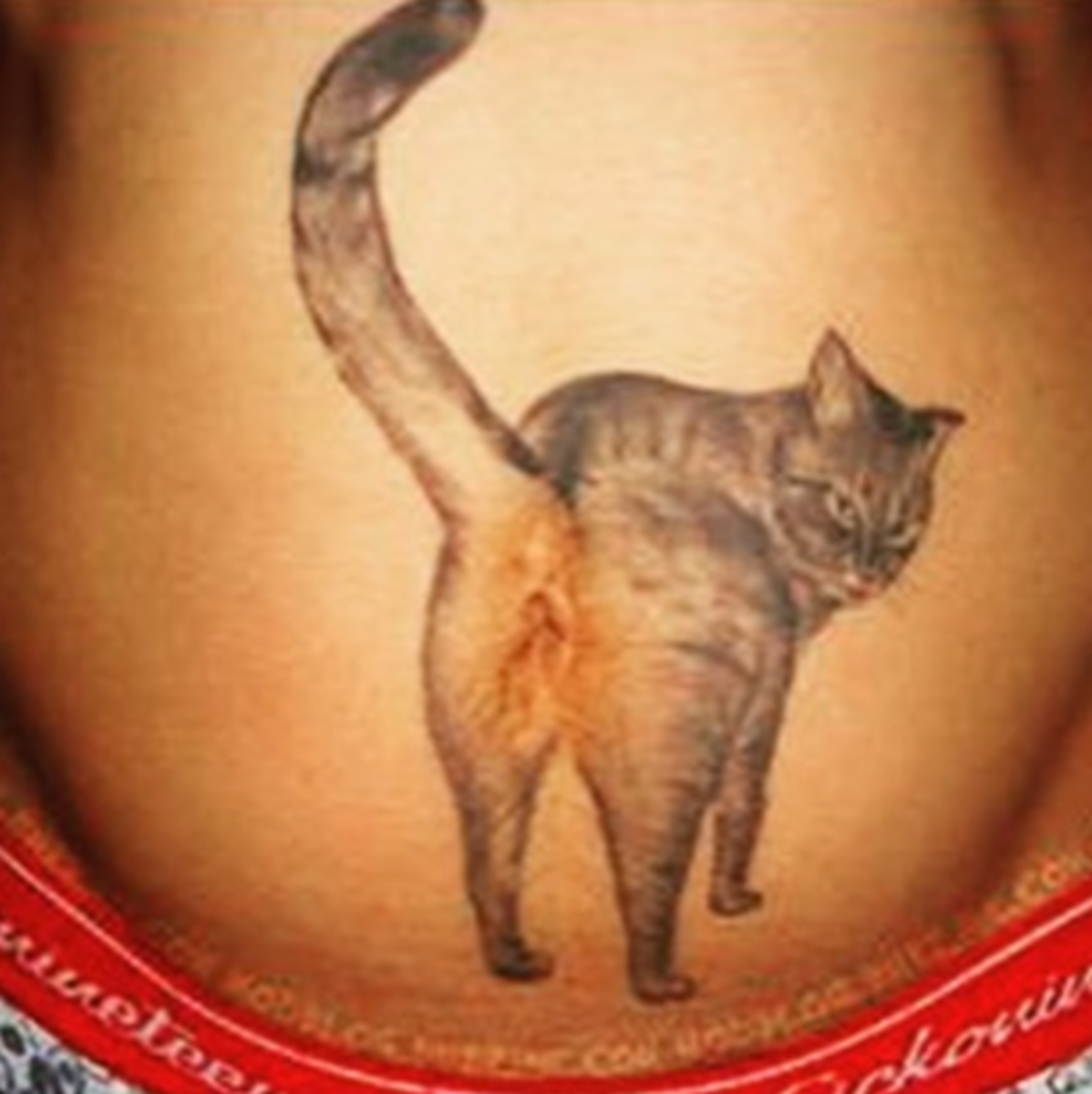 Katzen-Po-Tattoo