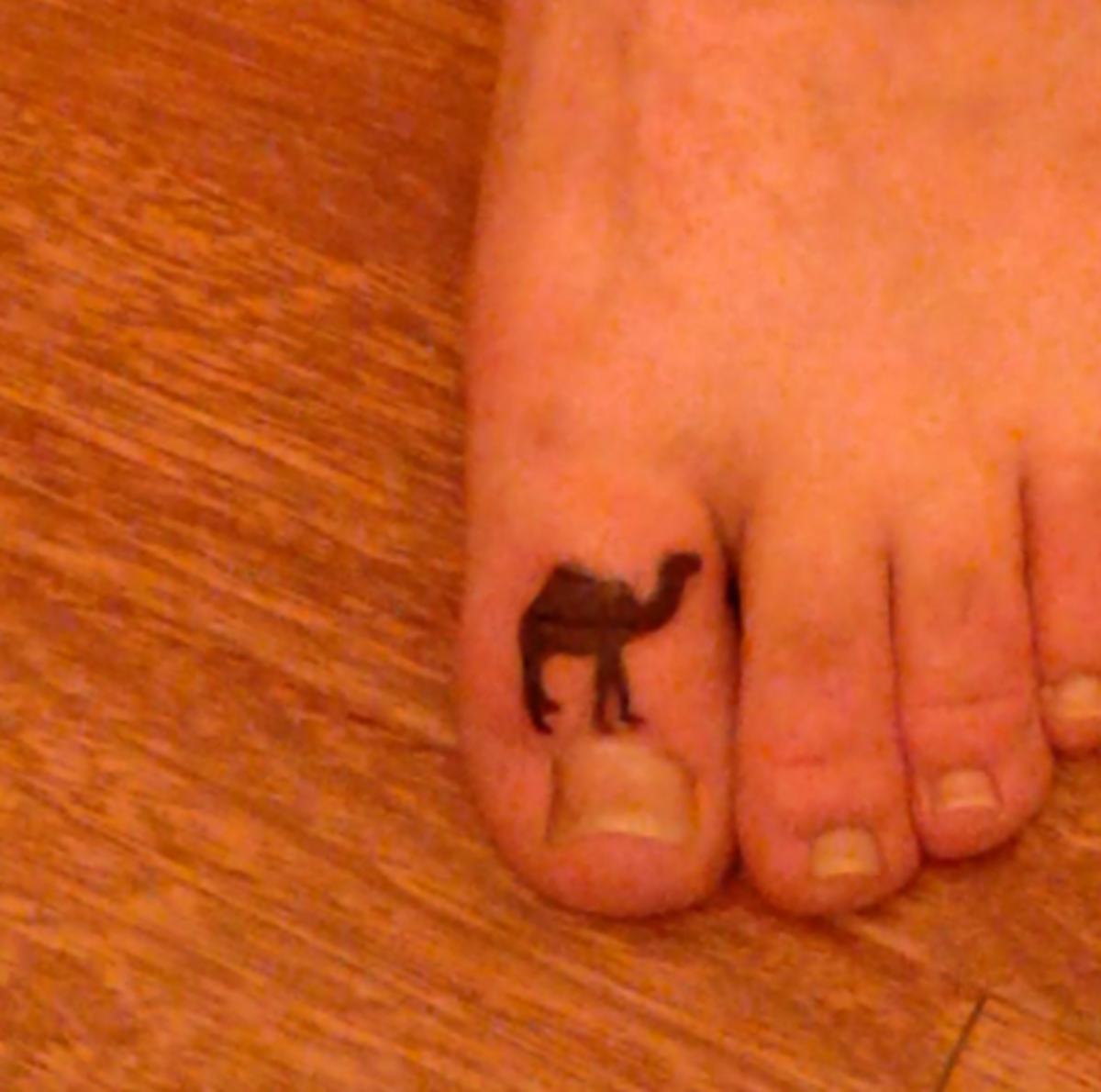 Kamel-auf-Zehen-Tattoo