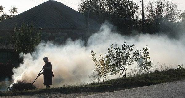 Contaminación por humo de la zona con fresas.