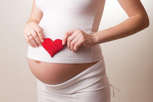 las mujeres embarazadas no deben tomar salvia
