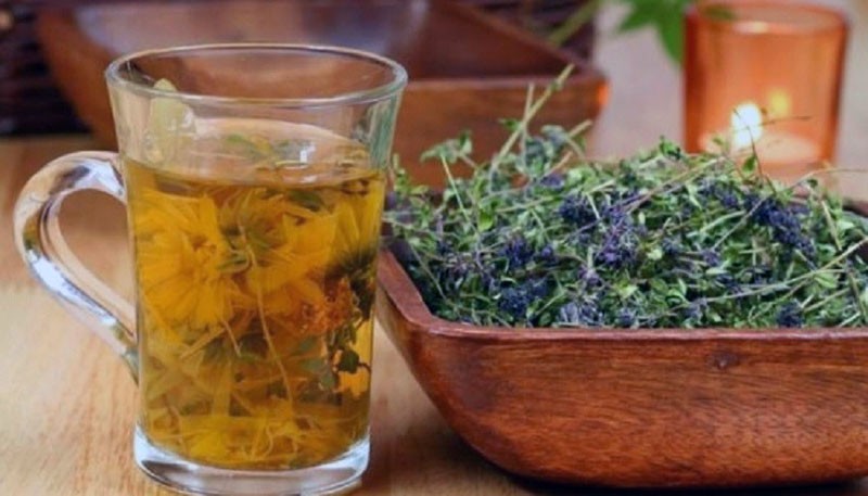 bouillon d'herbe à chat