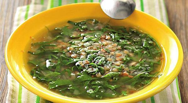 sopa de serpiente