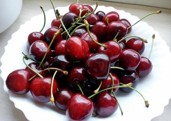 jugosas frutas dulces de cereza Zhukovskaya