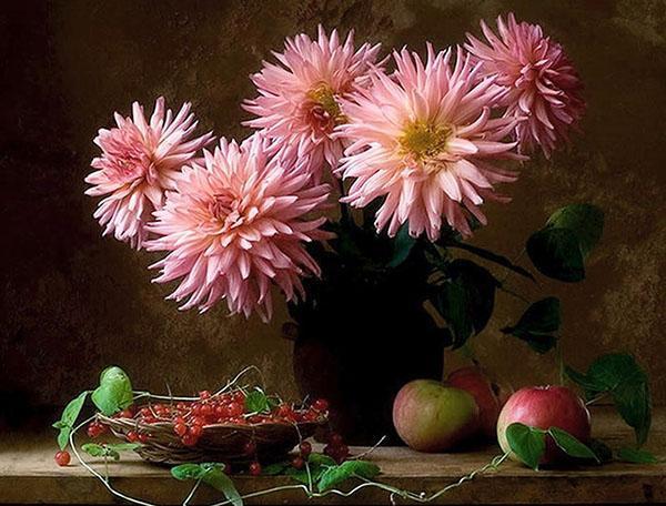 un bouquet de dahlias sur la table