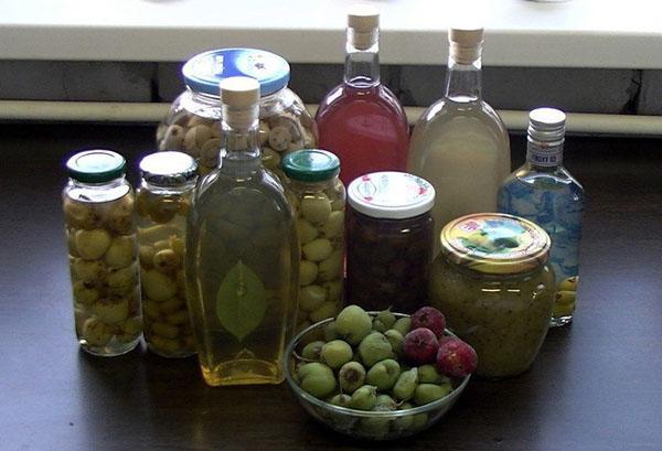 teintures, décoctions, compote, confiture d'actinidia