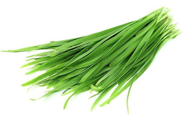 composición única de baba de cebolla