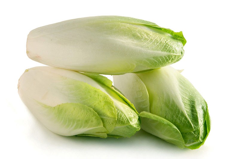 propriétés utiles de l'endive