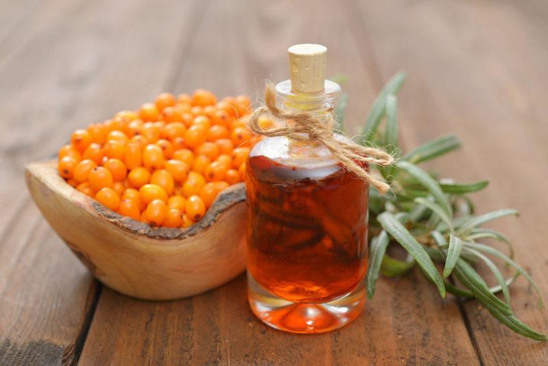 aceite de espino amarillo único