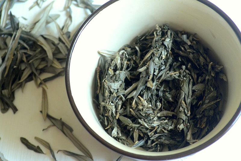 hojas de espino amarillo en cosmetología