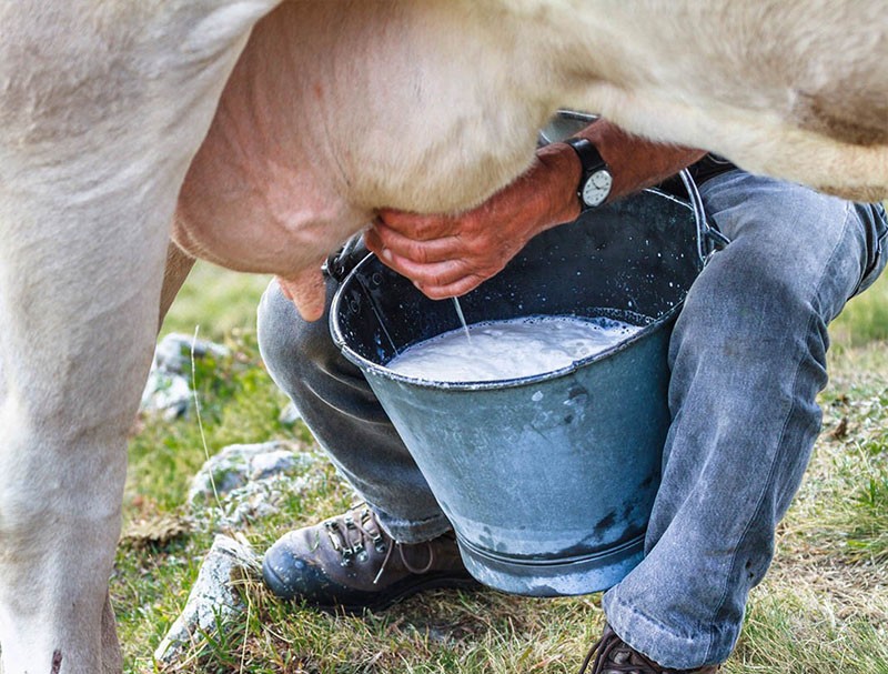 l'odeur de l'acétone dans le lait