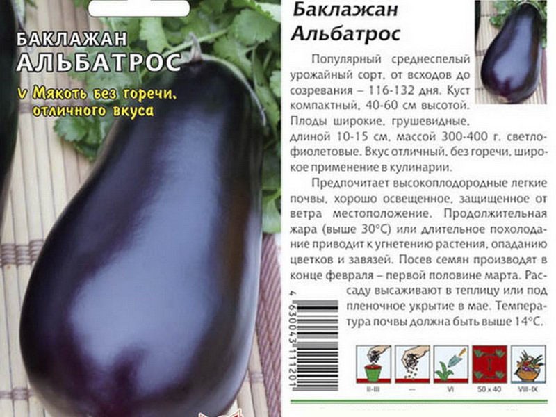 variété d'aubergine Albatros